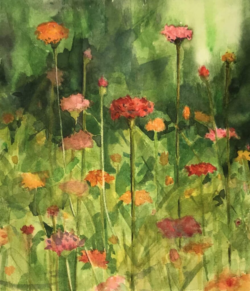 Beds of Zinnias (SOLD) Watercolor on paper