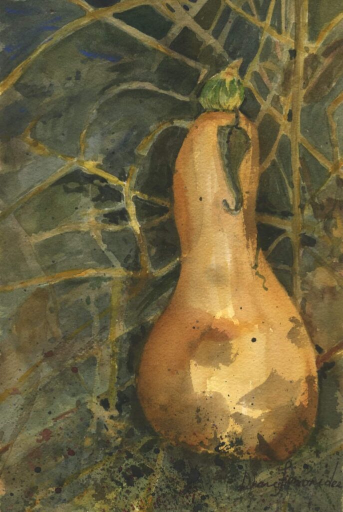 Butternut Squash 7x10 watercolor on paper