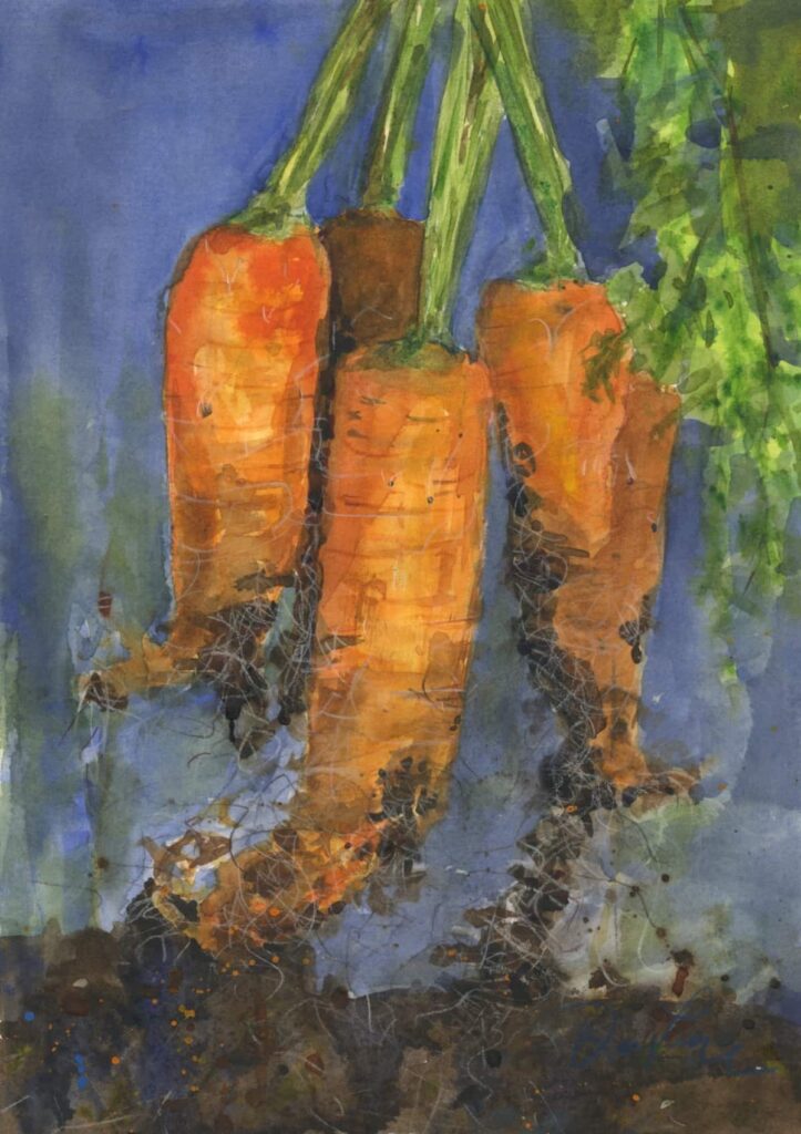 Carrots 7x10 watercolor on paper