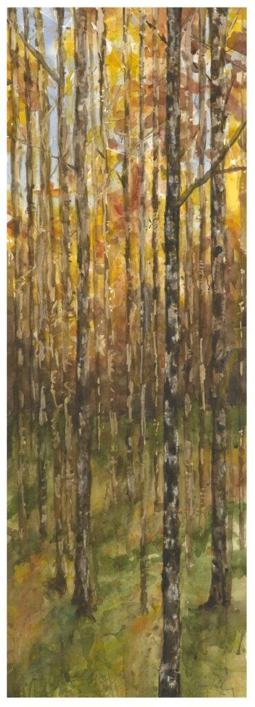 FallBirch - 10x32 watercolor on Paper