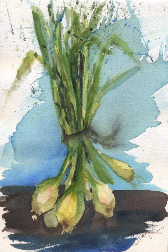 Scallions 7x10 watercolor on paper