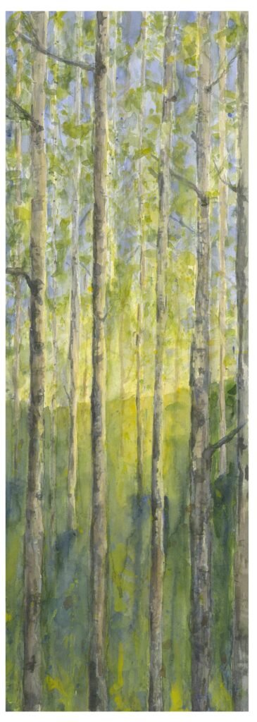 SpringBirch -10x32