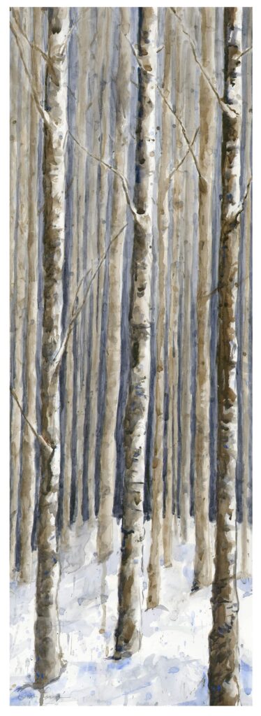 WinterBirch - 10x32