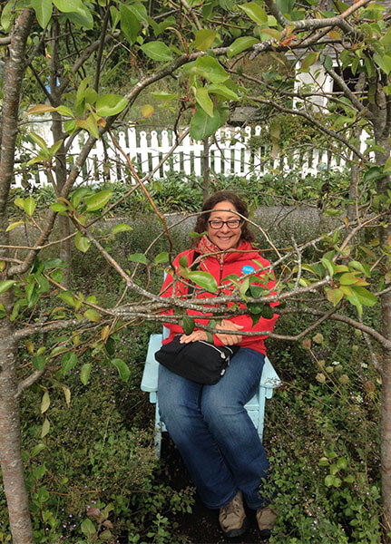 diane-lemonides diane-lemonides